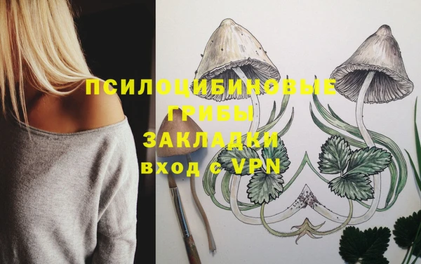 apvp Кукмор