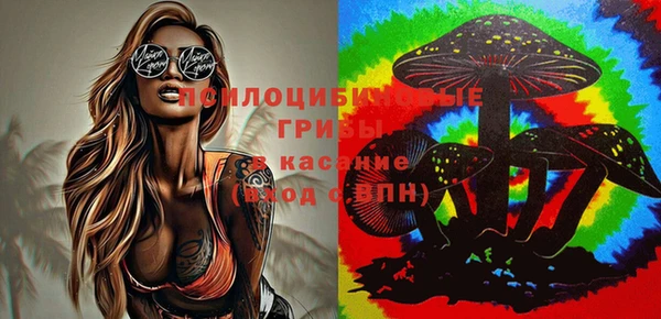 гидропоника Ладушкин
