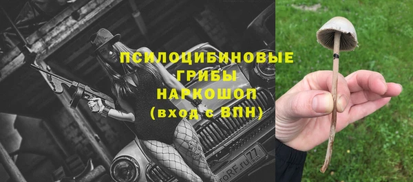 гидропоника Ладушкин
