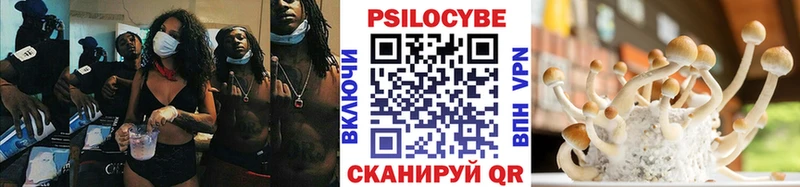 Галлюциногенные грибы Psilocybine cubensis  Пушкино 